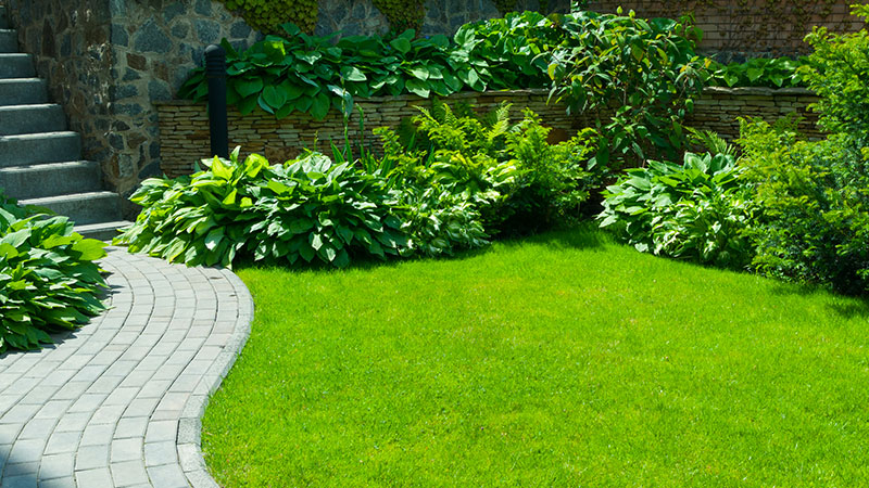 Entreprises de jardinage autour de moi